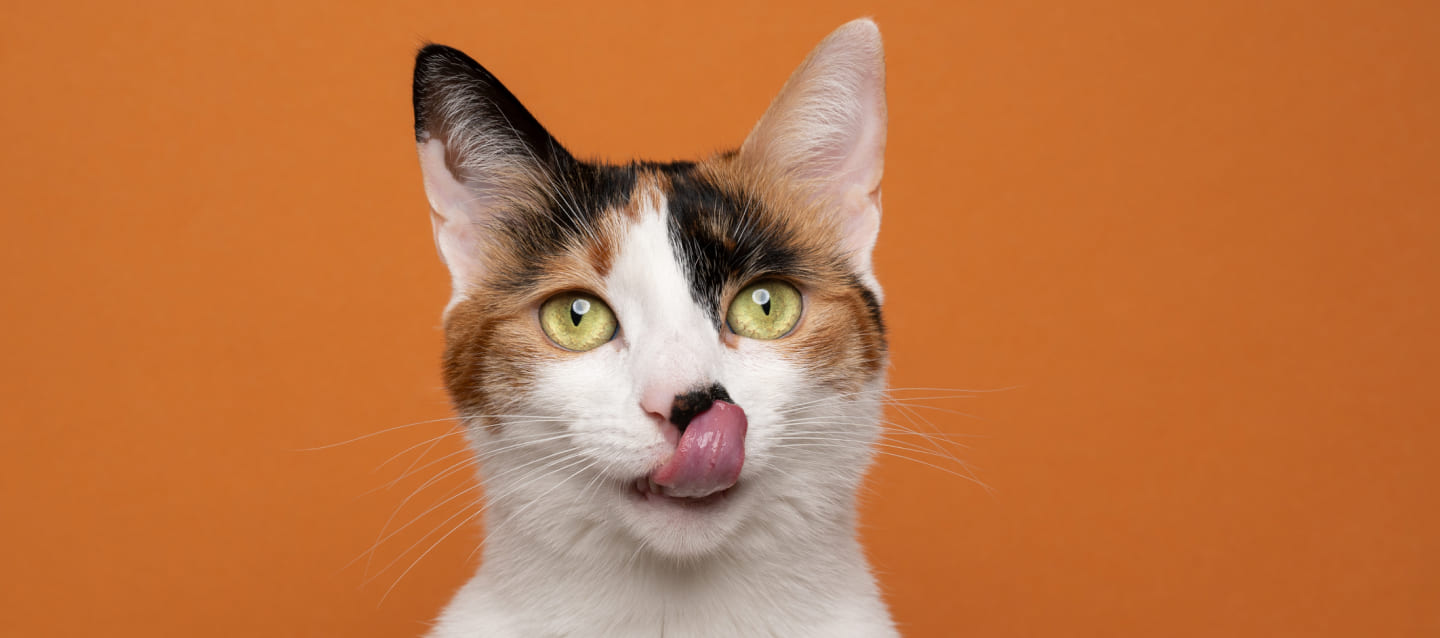 Гармониялық эротикалық массаж